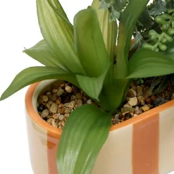 Jardiniere dans pot raye