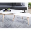 Lot 2 tables basses