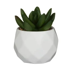 Mini succulente artificielle