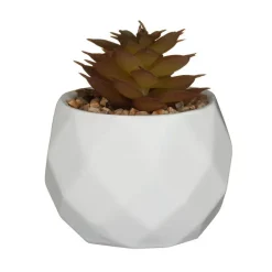 Mini succulente artificielle