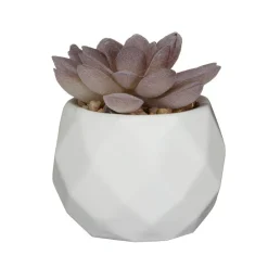 Mini succulente artificielle
