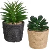 Mini succulente pot tresse
