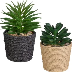 Mini succulente pot tresse