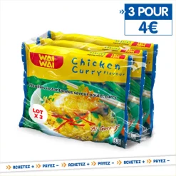 Nouilles instantanees curry x3
