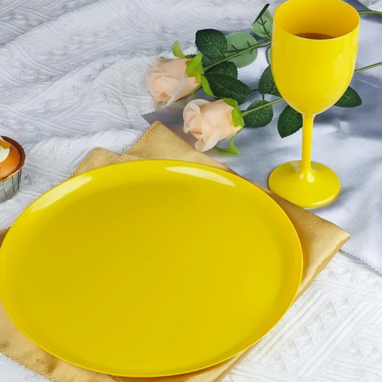 Pack de 4 assiettes plastiques d