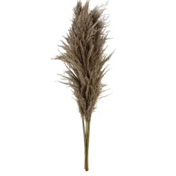 Pampa x3 h120cm