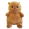 Peluche capybara aigri 30cm