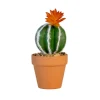 Petit cactus pot terracotta