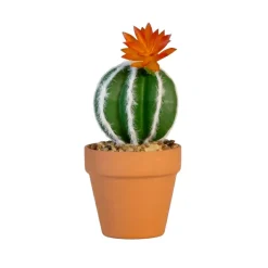 Petit cactus pot terracotta