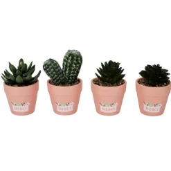 Petite plante artificelle- merci
