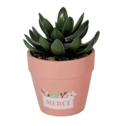 Petite plante artificelle- merci