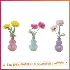 Pivoine dans vase colore