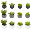 Plante artificielle aimant