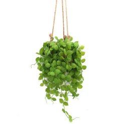 Plante artificielle a suspendre