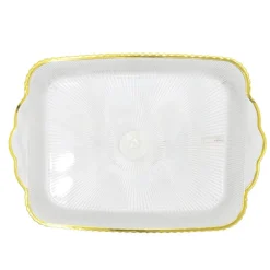 Plateau en plastique avec bord