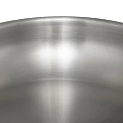 Poele 20cm inox resilience