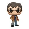 Pop games harry potter