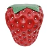 Porte plante fraise