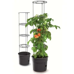 Pot de culture a tomate