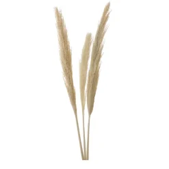 Roseau sauvage 115cm x3