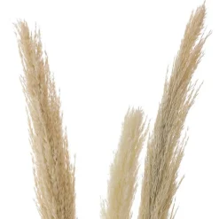 Roseau sauvage 115cm x3