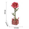 Rose diy