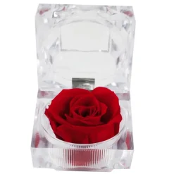 Rose eternelle dans son ecrin
