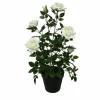 Rosier artificiel h46cm