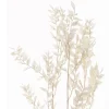 Ruskus