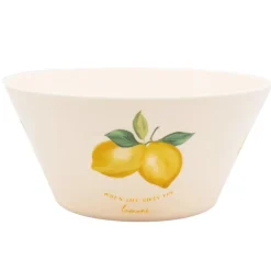 Saladier plastique d26cm citron