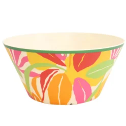 Saladier plastique d25cm hot tro