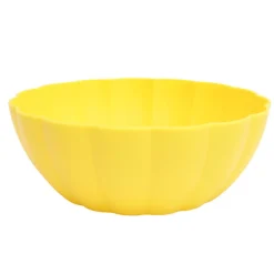 Saladier plastique iris d24cm