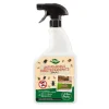 Spray anti fourmis et insectes