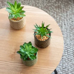 Succulente artificielle en pot