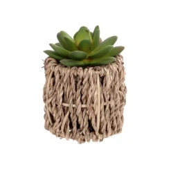 Succulente artificielle pot tres