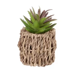 Succulente artificielle pot tres