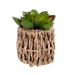 Succulente artificielle pot tres