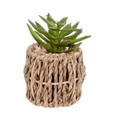 Succulente artificielle pot tres