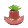 Succulente chapeau cowboy