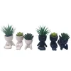 Succulente en pot