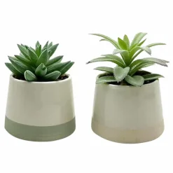 Succulente pot bicolore