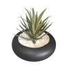 Succulente pot rond
