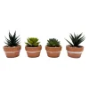 Succulente pot terracota