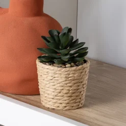 Succulente pot tresse