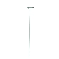 Supports pour plantes x3