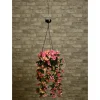 Suspension solaire panier fleuri