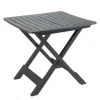 Table pliante