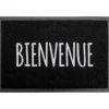 Tapis imp 40x60cm pvc bienvenue
