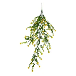 Tiges plantes pendantes fleuries