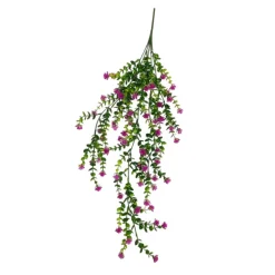 Tiges plantes pendantes fleuries
